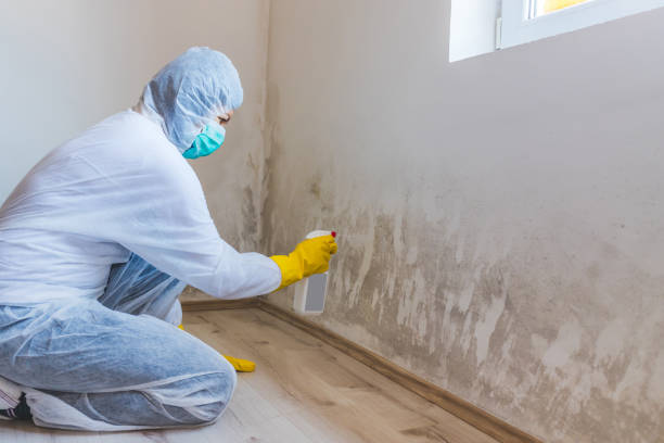 Licensed Mold Remediation service in Matawan, NJ - WQB Mold Removal
