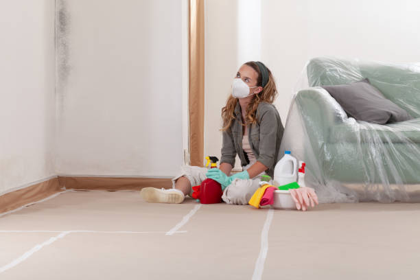 Reliable Mold Remediation contractor in Matawan, NJ by WQB Mold Removal